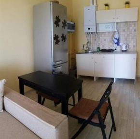 Apartment on Zhiemchuzhnyi 3